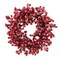6-Pack 22" Red Frosted Berry Wreath - 22-Inch Iced Hawthorn Twig Berries Holiday Decorative Winter Christmas Berry Wreaths for Front Door, Fireplace, Mantel, Xmas Décor - Christmas Berry Wreath